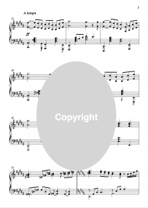 preciousmemories_slider3